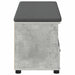 Bancă pentru hol cu pernă Gri din beton 100 x 38 x 46 cm - WALTI WALTI