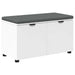 Bancă pentru hol cu pernă cu raft cu ușă Alb 80 x 38 x 46 cm - WALTI WALTI