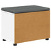 Bancă pentru hol cu pernă cu raft cu ușă Alb 60 x 38 x 46 cm - WALTI WALTI