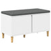 Bancă pentru hol cu pernă cu depozitare Alb 80 x 38 x 46 cm - WALTI WALTI