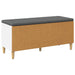 Bancă pentru hol cu pernă cu depozitare Alb 100 x 38 x 46 cm - WALTI WALTI