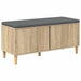 Bancă pentru hol cu pernă cu ușă Stejar Sonoma 100 x 38 x 46 cm - WALTI WALTI