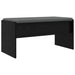 Bancă pentru hol cu pernă Stejar Negru 80 x 38 x 46 cm - WALTI WALTI