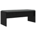 Bancă pentru hol cu pernă Stejar Negru 100 x 38 x 46 cm - WALTI WALTI