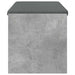Bancă pentru hol cu pernă Gri din beton 100 x 38 x 46 cm - WALTI WALTI