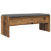 Bancă pentru hol cu pernă Lemn vechi 100 x 38 x 46 cm - WALTI WALTI