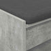 Bancă pentru hol cu pernă Gri din beton 100 x 38 x 46 cm - WALTI WALTI