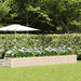 Jardinieră Creme 400 x 80 x 45 cm Oțel - WALTI WALTI