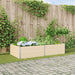 Jardinieră Creme 195 x 100 x 45 cm Oțel Galvanizat - WALTI WALTI
