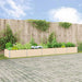 Jardinieră Creme 195 x 100 x 45 cm Oțel Galvanizat - WALTI WALTI
