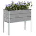 Jardinieră Gri deschis 100 x 45 x 90 cm Oțel Galvanizat - WALTI WALTI