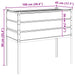 Jardinieră Antracit 100 x 45 x 90 cm Oțel Galvanizat - WALTI WALTI