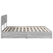 Pat cu storage cu sertar Gri Sonoma 200 x 200 cm Lemn compozit - WALTI WALTI