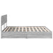 Pat cu storage cu sertar Gri Sonoma 180 x 200 cm Lemn compozit - WALTI WALTI