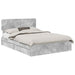 Pat cu storage Gri din beton 150 x 200 cm Lemn compozit - WALTI WALTI