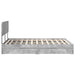 Pat cu storage Gri din beton 150 x 200 cm Lemn compozit - WALTI WALTI