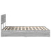 Pat cu storage cu sertar Gri Sonoma 150 x 200 cm Lemn compozit - WALTI WALTI