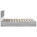 Pat cu storage cu sertar Gri Sonoma 140 x 200 cm Lemn compozit - WALTI WALTI