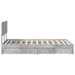 Pat cu storage Gri din beton 135 x 190 cm Lemn compozit - WALTI WALTI