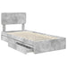 Pat cu storage Gri din beton 75 x 190 cm Lemn compozit - WALTI WALTI