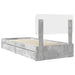 Pat cu storage Gri din beton 75 x 190 cm Lemn compozit - WALTI WALTI