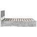 Cadru de pat cu sertar Gri din beton 140 x 200 cm Lemn compozit - WALTI WALTI