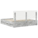 Cadru de pat Gri din beton 200 x 200 cm Lemn Ingineresc - WALTI WALTI