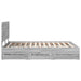 Cadru de pat cu sertar Gri Sonoma 160 x 200 cm Lemn Ingineresc - WALTI WALTI