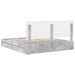 Cadru de pat cu sertar Gri din beton 200 x 200 cm Lemn compozit - WALTI WALTI