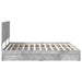 Cadru de pat cu sertar Gri din beton 200 x 200 cm Lemn compozit - WALTI WALTI