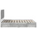 Cadru de pat cu sertar Gri din beton 150 x 200 cm Lemn compozit - WALTI WALTI