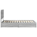 Cadru de pat cu sertar Gri Sonoma 100 x 200 cm Lemn compozit - WALTI WALTI