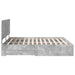 Cadru de pat cu sertar Gri din beton 200 x 200 cm Lemn compozit - WALTI WALTI