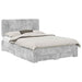 Cadru de pat cu sertar Gri din beton 160 x 200 cm Lemn compozit - WALTI WALTI
