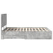 Cadru de pat cu sertar Gri din beton 160 x 200 cm Lemn compozit - WALTI WALTI