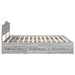 Cadru de pat cu sertar Gri Sonoma 180 x 200 cm Lemn Ingineresc - WALTI WALTI