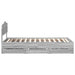 Cadru de pat cu sertar Gri Sonoma 75 x 190 cm Lemn Ingineresc - WALTI WALTI