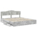 Pat cu storage Gri din beton 200 x 200 cm Lemn compozit - WALTI WALTI