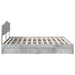 Pat cu storage Gri din beton 200 x 200 cm Lemn compozit - WALTI WALTI