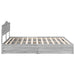 Pat cu storage cu sertar Gri Sonoma 200 x 200 cm Lemn compozit - WALTI WALTI