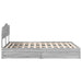 Pat cu storage cu sertar Gri Sonoma 140 x 200 cm Lemn compozit - WALTI WALTI