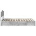 Pat cu storage Gri din beton 135 x 190 cm Lemn compozit - WALTI WALTI