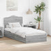 Pat cu storage cu sertar Gri Sonoma 100 x 200 cm Lemn compozit - WALTI WALTI