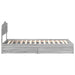 Pat cu storage cu sertar Gri Sonoma 100 x 200 cm Lemn compozit - WALTI WALTI
