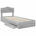 Pat cu storage cu sertar Gri Sonoma 90 x 200 cm Lemn compozit - WALTI WALTI