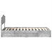 Pat cu storage Gri din beton 90 x 190 cm Lemn compozit - WALTI WALTI