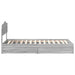 Pat cu storage cu sertar Gri Sonoma 75 x 190 cm Lemn compozit - WALTI WALTI