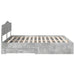 Cadru de pat cu sertar Gri din beton 180 x 200 cm Lemn compozit - WALTI WALTI