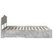 Cadru de pat cu sertar Gri din beton 160 x 200 cm Lemn compozit - WALTI WALTI