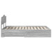 Cadru de pat cu sertar Gri Sonoma 120 x 190 cm Lemn compozit - WALTI WALTI